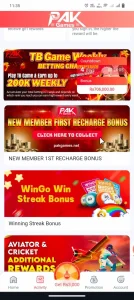 Pak Games APK