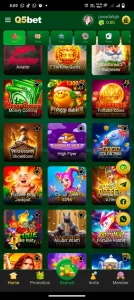 Q5Bet Game Download